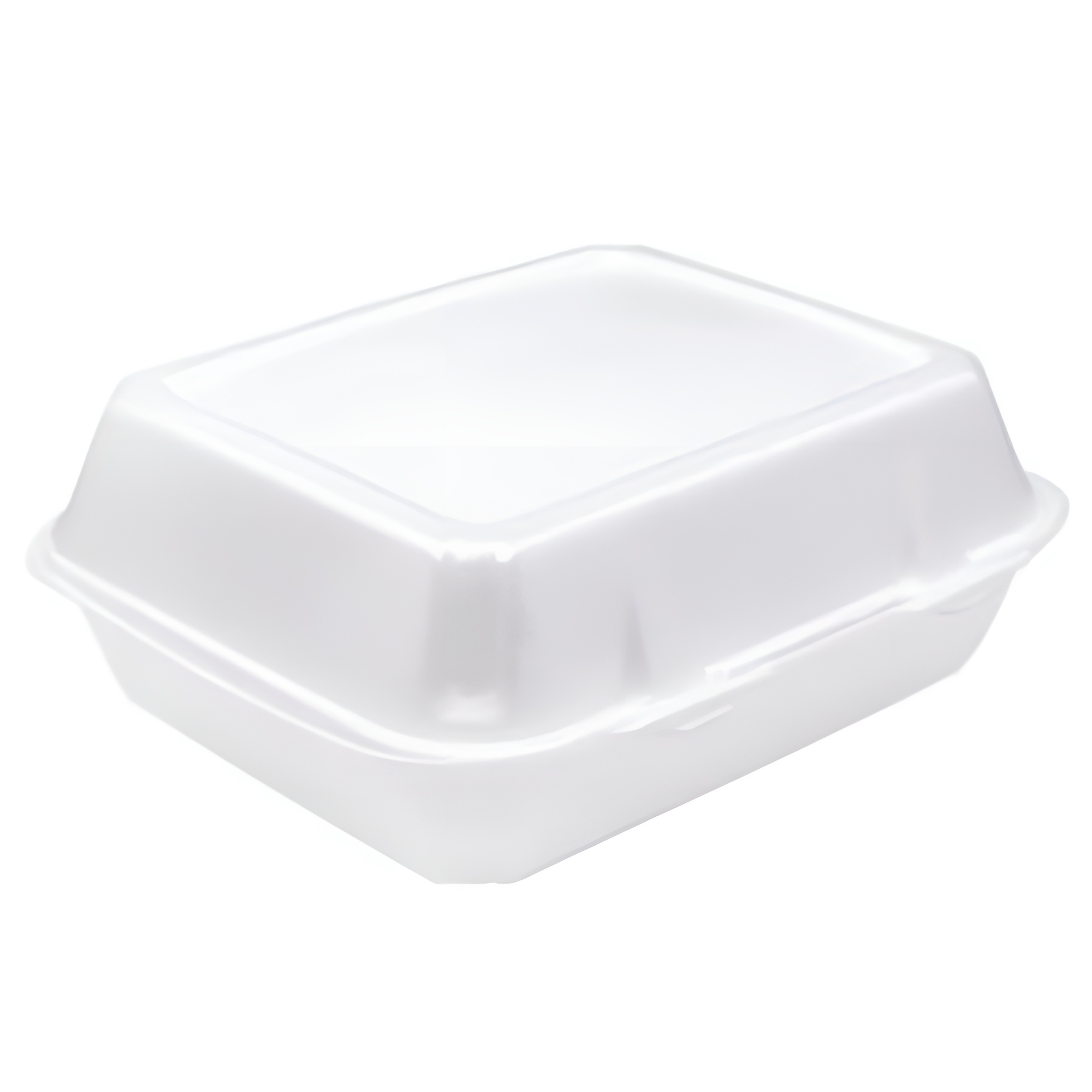 فوم دیپلمات تک خانه امیرکو ۳۰۰ عددی